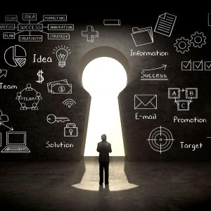 Initial Consultation (non-Investment related consults Serviced by Diaspora Freedom Initiative™,LLC)